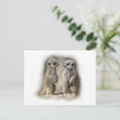Carte Postale Meerkat bébé jumeaux (Debout devant)
