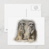 Carte Postale Meerkat bébé jumeaux (Devant / Derrière)