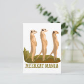 Carte Postale Meerkat Mania (Debout devant)