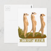 Carte Postale Meerkat Mania (Devant / Derrière)