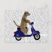 Meerkat sur Dark Blue Moped