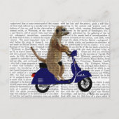 Carte Postale Meerkat sur Dark Blue Moped (Devant)