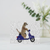 Carte Postale Meerkat sur Dark Blue Moped (Debout devant)