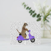 Carte Postale Meerkat sur Lilac Moped (Debout devant)
