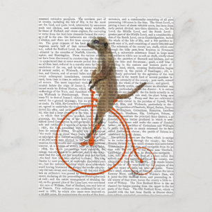 Carte Postale Meerkat sur Orange Penny Farthing