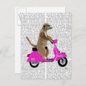 Carte Postale Meerkat sur Pink Moped (Devant / Derrière)