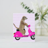 Carte Postale Meerkat sur Pink Moped 2 (Debout devant)