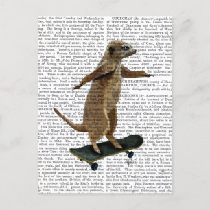 Carte Postale Meerkat Sur Skateboard 2