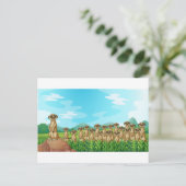 Carte Postale Meerkats (Debout devant)