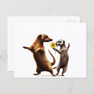 Carte Postale Meerkats dansants