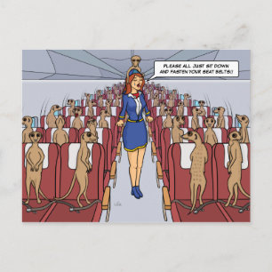 Carte Postale Meerkats on a Plane Postcard