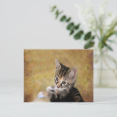 Carte Postale Meet Tiger (Debout devant)