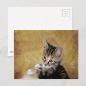 Carte Postale Meet Tiger (Devant / Derrière)