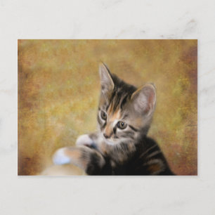Carte Postale Meet Tiger
