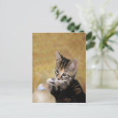 Carte Postale Meet Tiger (Debout devant)