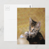 Carte Postale Meet Tiger (Devant / Derrière)