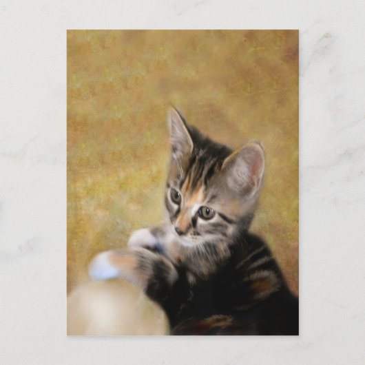 Carte Postale Meet Tiger (Devant)