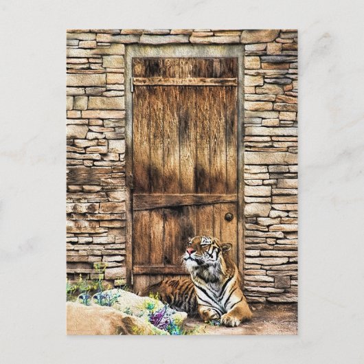 Carte Postale Méfiez-vous du tigre sauvage de la maison de chat  (Devant)