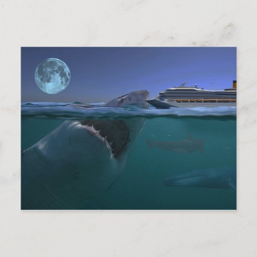 Carte Postale Megalodon (Devant)