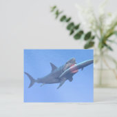 Carte Postale Megalodon mangeant une baleine (Debout devant)