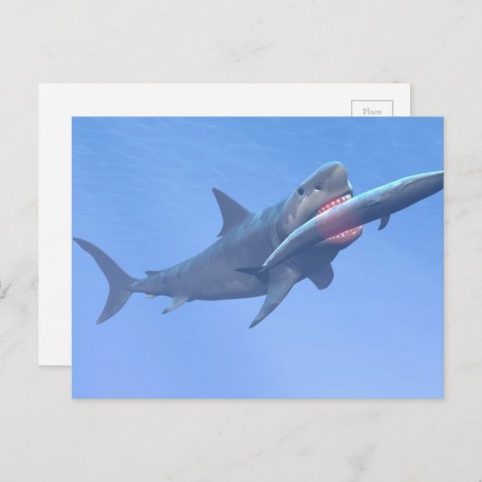 Carte Postale Megalodon mangeant une baleine (Devant / Derrière)