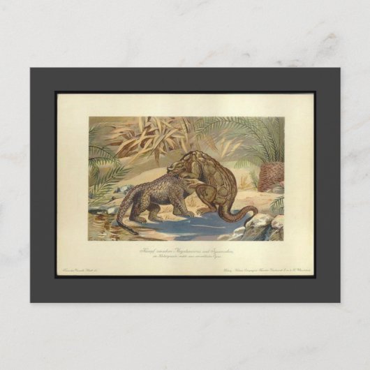 Carte postale Megalosaurus vintage VS Iguanodon (Devant)