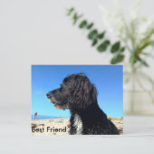 Carte Postale Meilleur ami (Debout devant)