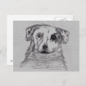 Carte Postale Meilleur ami (Devant / Derrière)