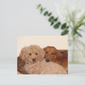 Carte Postale Meilleur bouc (Debout devant)