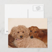 Carte Postale Meilleur bouc (Devant / Derrière)