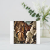 Carte Postale Meilleur des amis (Debout devant)