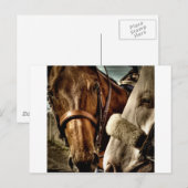 Carte Postale Meilleur des amis (Devant / Derrière)