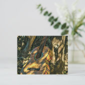 Carte Postale meilleur guitariste de tous les temps (Debout devant)