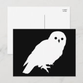 Carte Postale Meilleur prix White Barn Owl Graphic (Devant / Derrière)