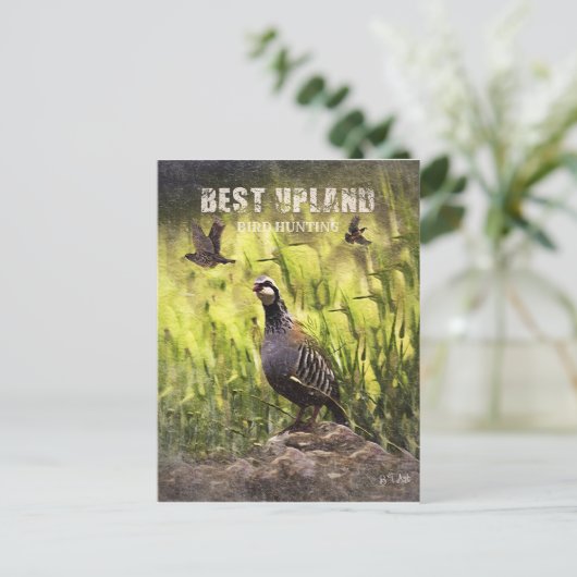 Carte Postale Meilleure chasse aux oiseaux des hautes terres (Debout devant)