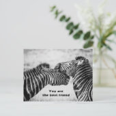 Carte Postale Meilleure citation d'ami avec Zebras (Debout devant)