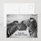 Carte Postale Meilleure citation d'ami avec Zebras (Devant / Derrière)