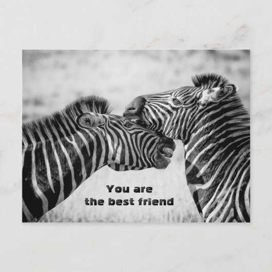 Carte Postale Meilleure citation d'ami avec Zebras (Devant)