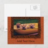 Carte Postale Meilleures salutations aux chiots (Devant / Derrière)