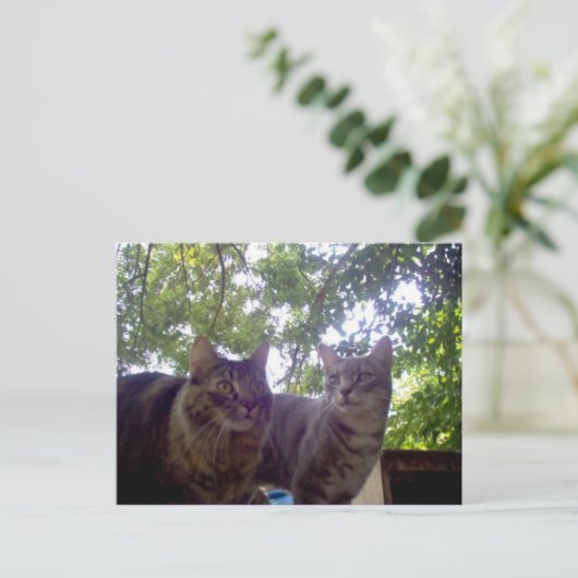 Carte Postale Meilleurs (Debout devant)