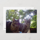 Carte Postale Meilleurs (Devant / Derrière)