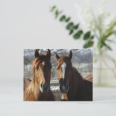 Carte Postale Meilleurs amis (Debout devant)