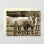 Carte Postale Meilleurs amis (Devant / Derrière)