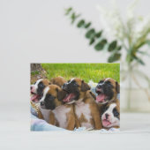 Carte Postale Meilleurs amis (Debout devant)