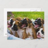 Carte Postale Meilleurs amis (Devant / Derrière)