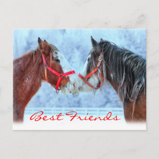 Carte Postale Meilleurs amis