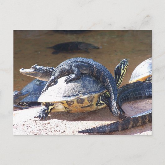 Carte Postale Meilleurs amis (Devant)