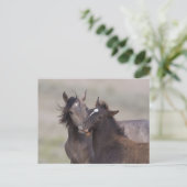 Carte Postale Meilleurs amis (Debout devant)
