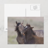 Carte Postale Meilleurs amis (Devant / Derrière)