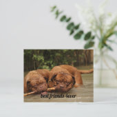 Carte Postale Meilleurs amis (Debout devant)